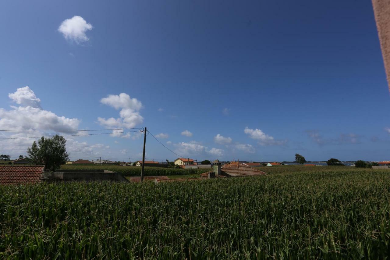 فيلا Ria De Aveiro White House Murtosa المظهر الخارجي الصورة